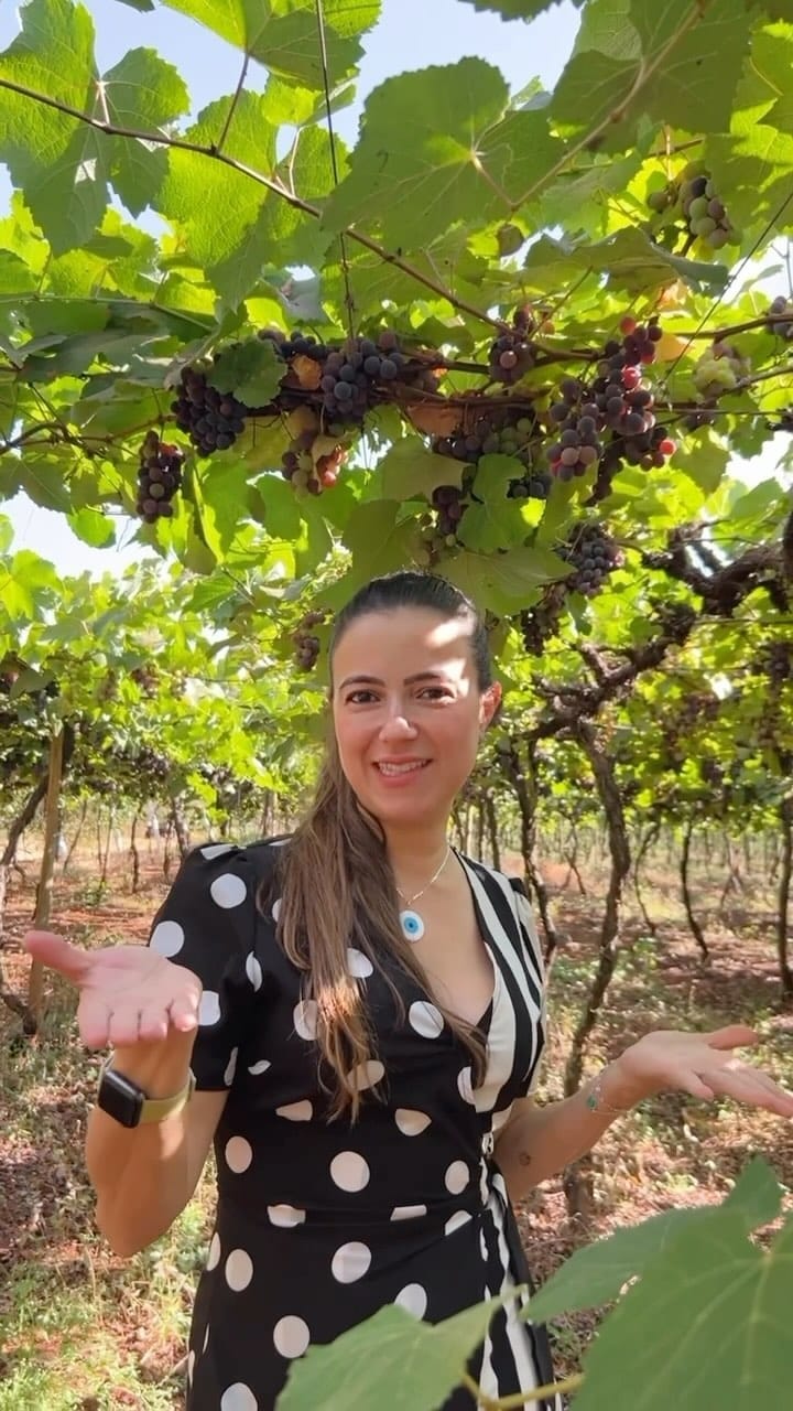 Post 6 by Vinicola Goiás on Instagram (video)