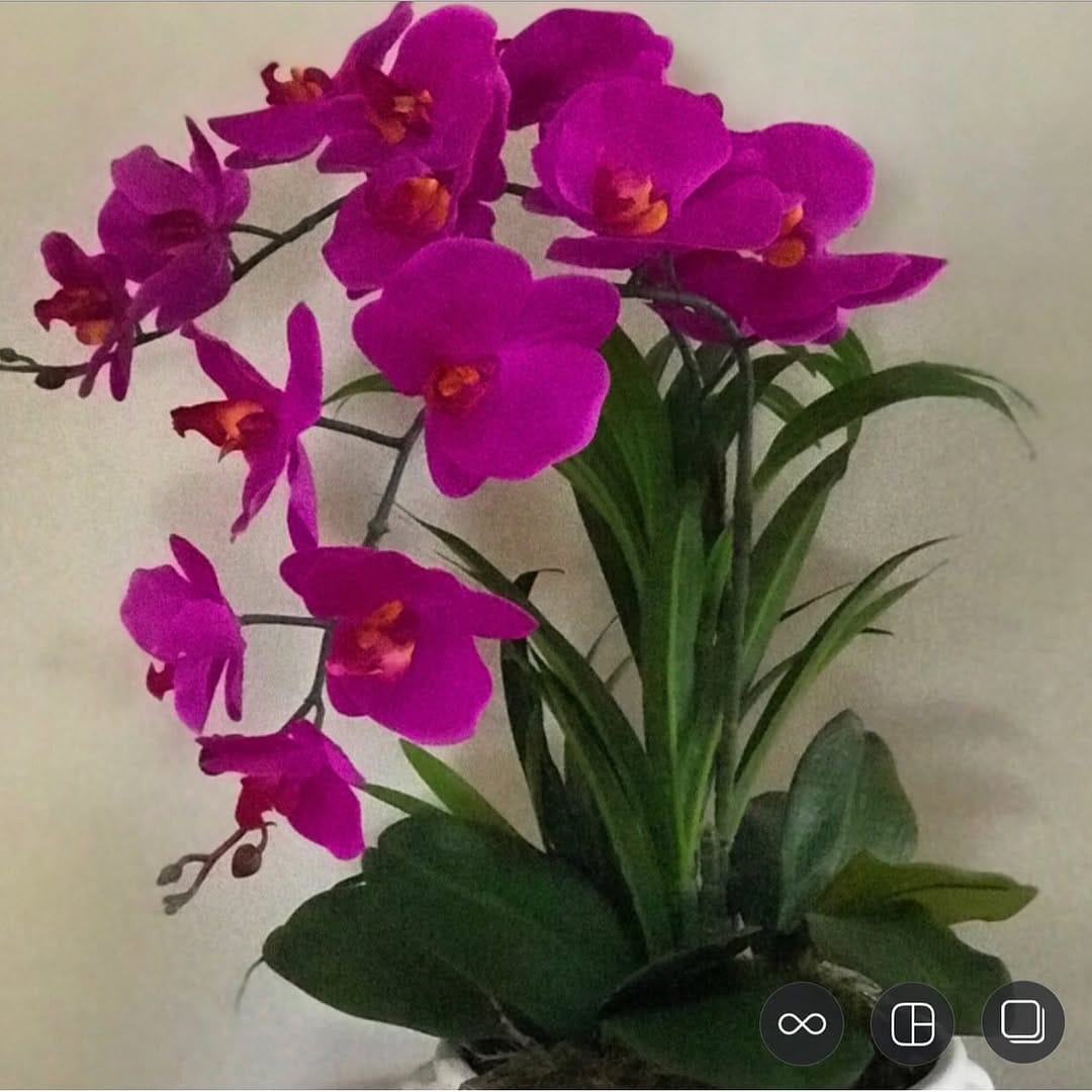 Post 4 by Arranjos da Lila on Instagram (image)