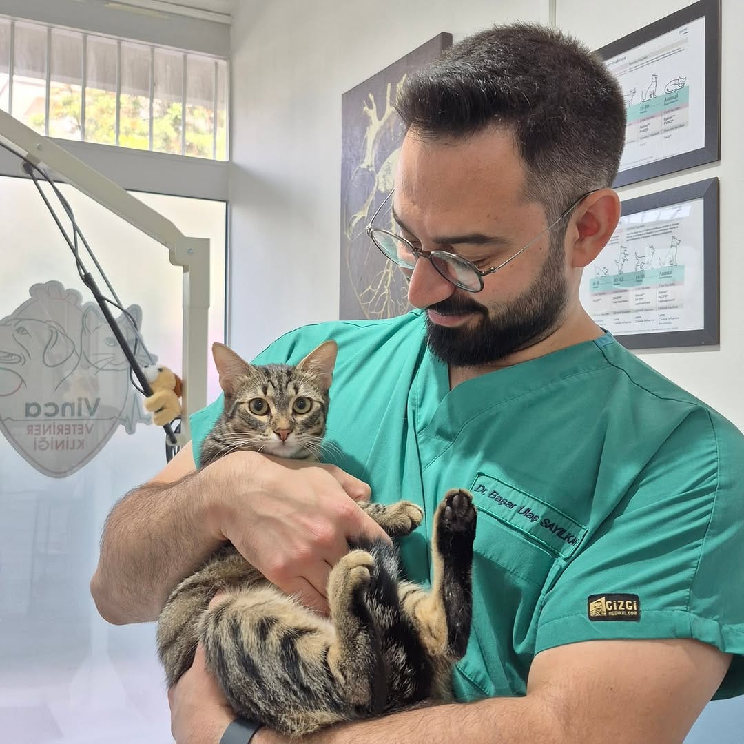 Post 2 by Vinca Veteriner Kliniği on Instagram (carousel)