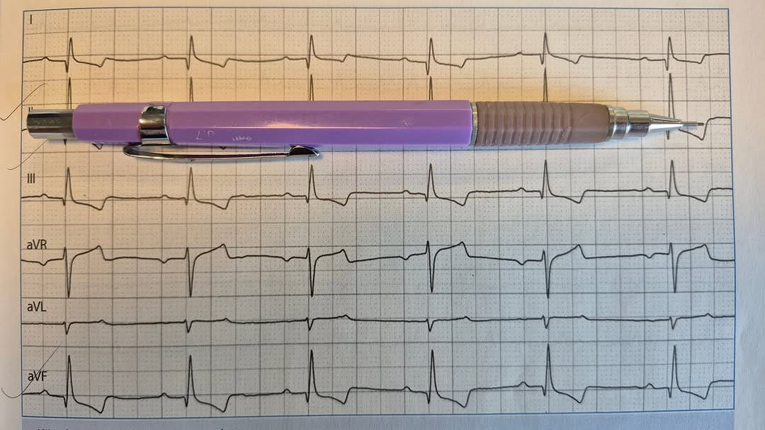 Post 3 by Vinca Veteriner Kliniği on Instagram (carousel)