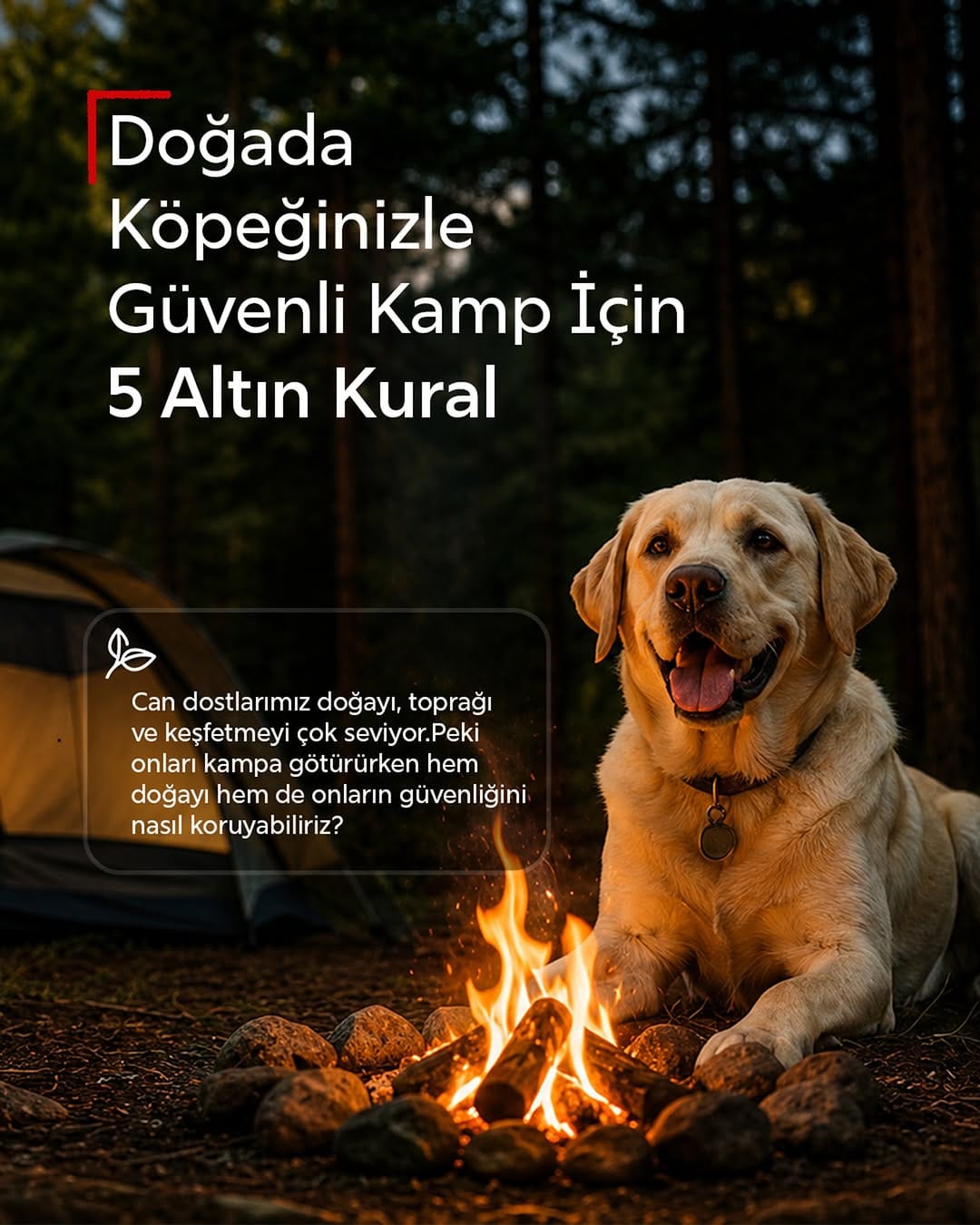 Post 2 by Özgür Oğuz on Instagram (carousel)