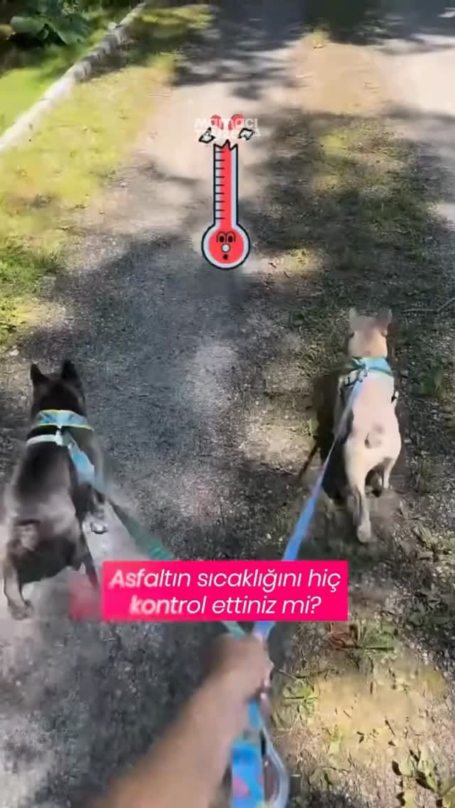 Post 7 by Mamacı Teyze on Instagram (video)
