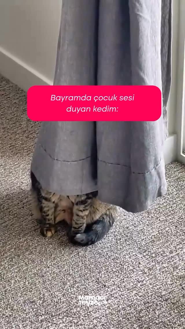 Post 8 by Mamacı Teyze on Instagram (video)