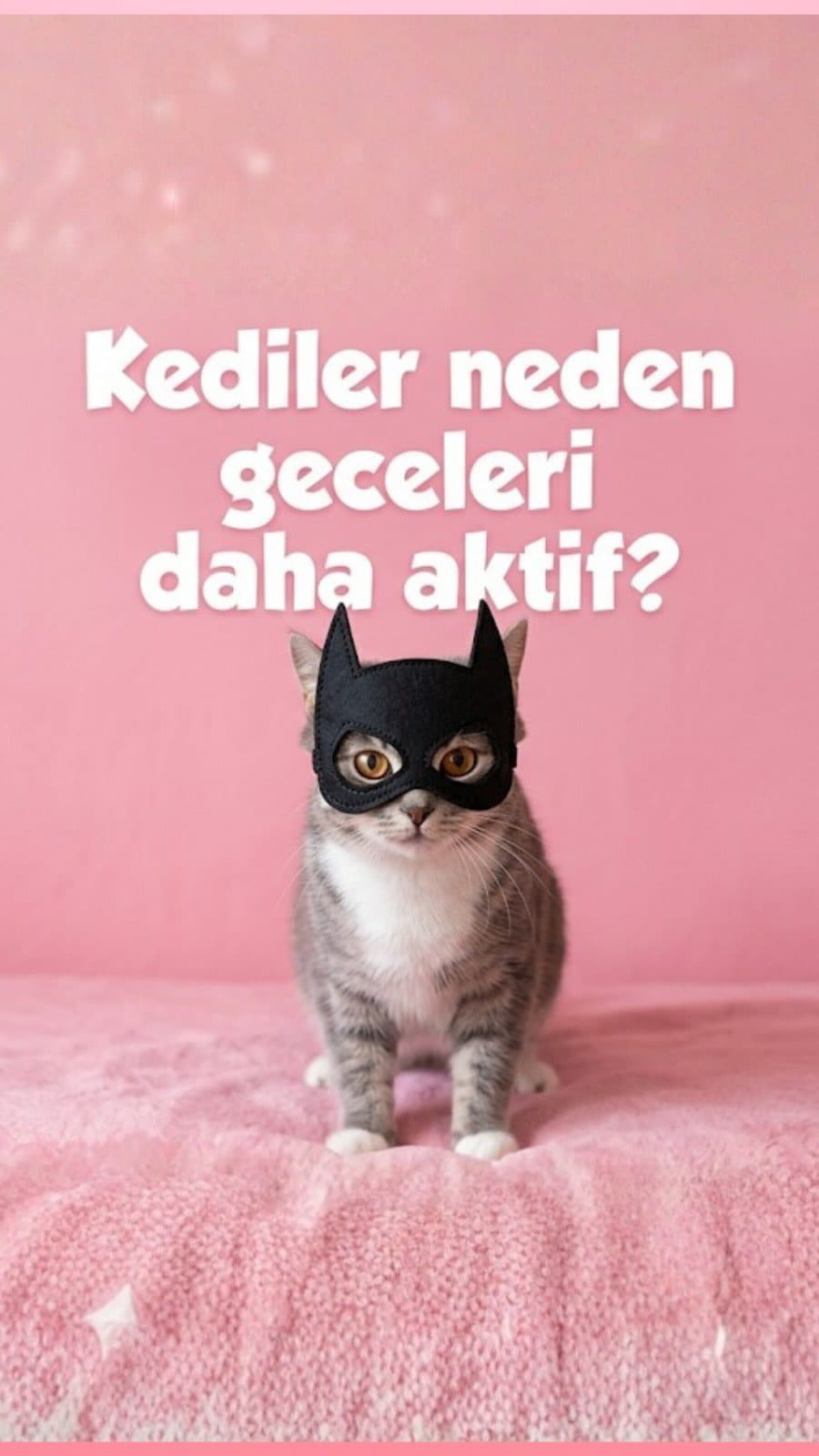 Post 4 by Mamacı Teyze on Instagram (video)