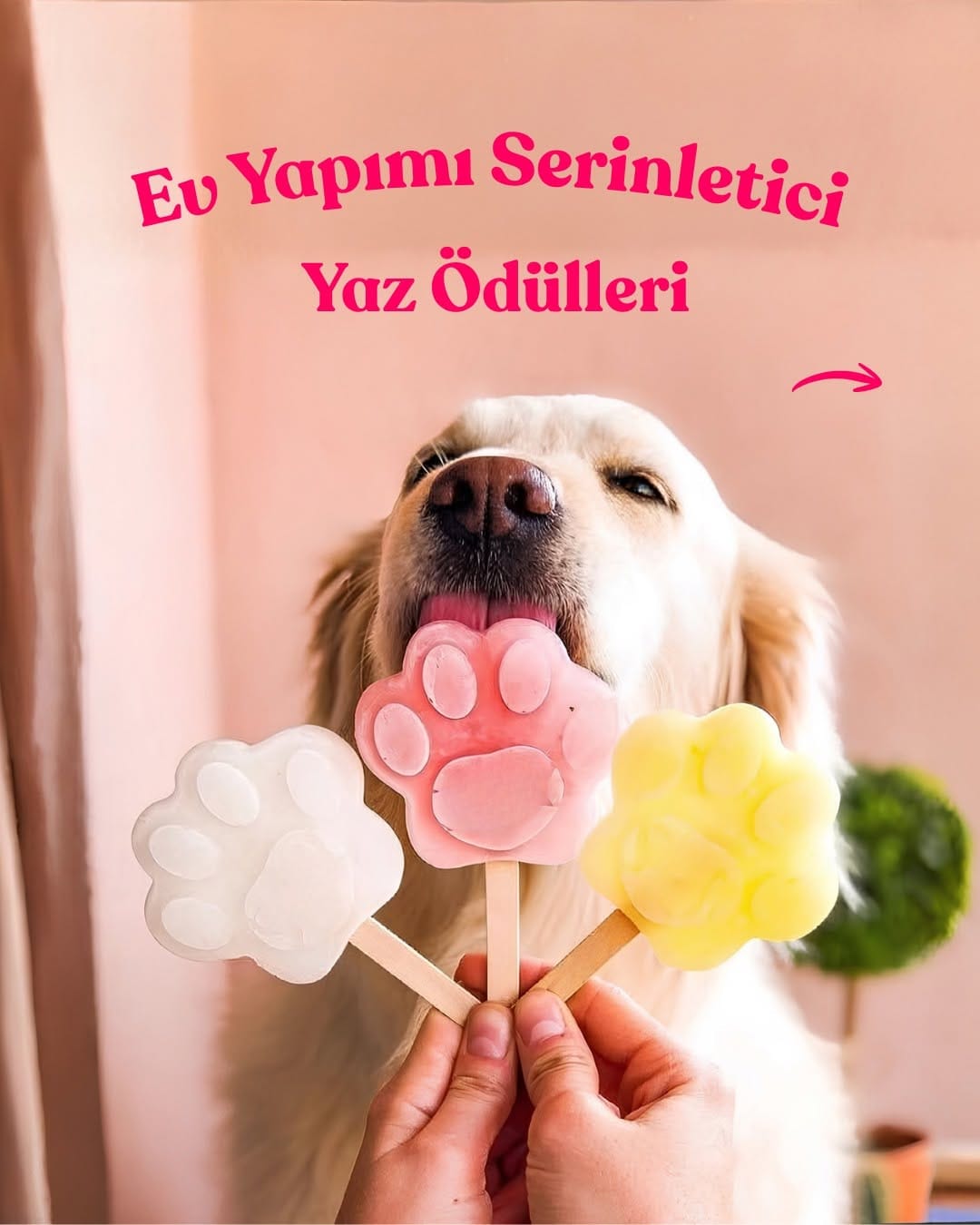 Post 5 by Mamacı Teyze on Instagram (carousel)
