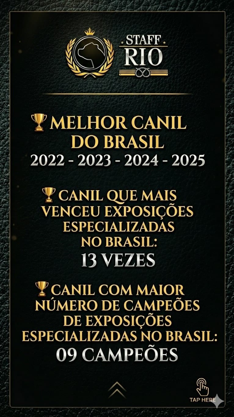 Post 1 by CANIL STAFF RIO on Instagram (video)