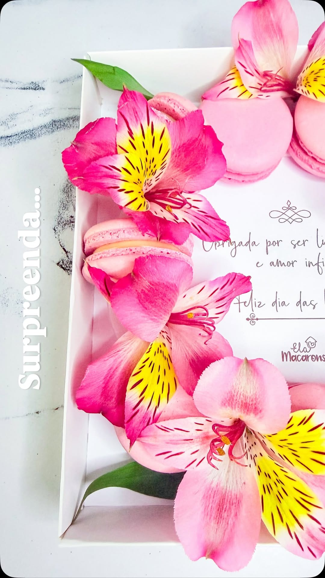 Post 2 by Elaine Fasoli / Ela Macarons® on Instagram (video)