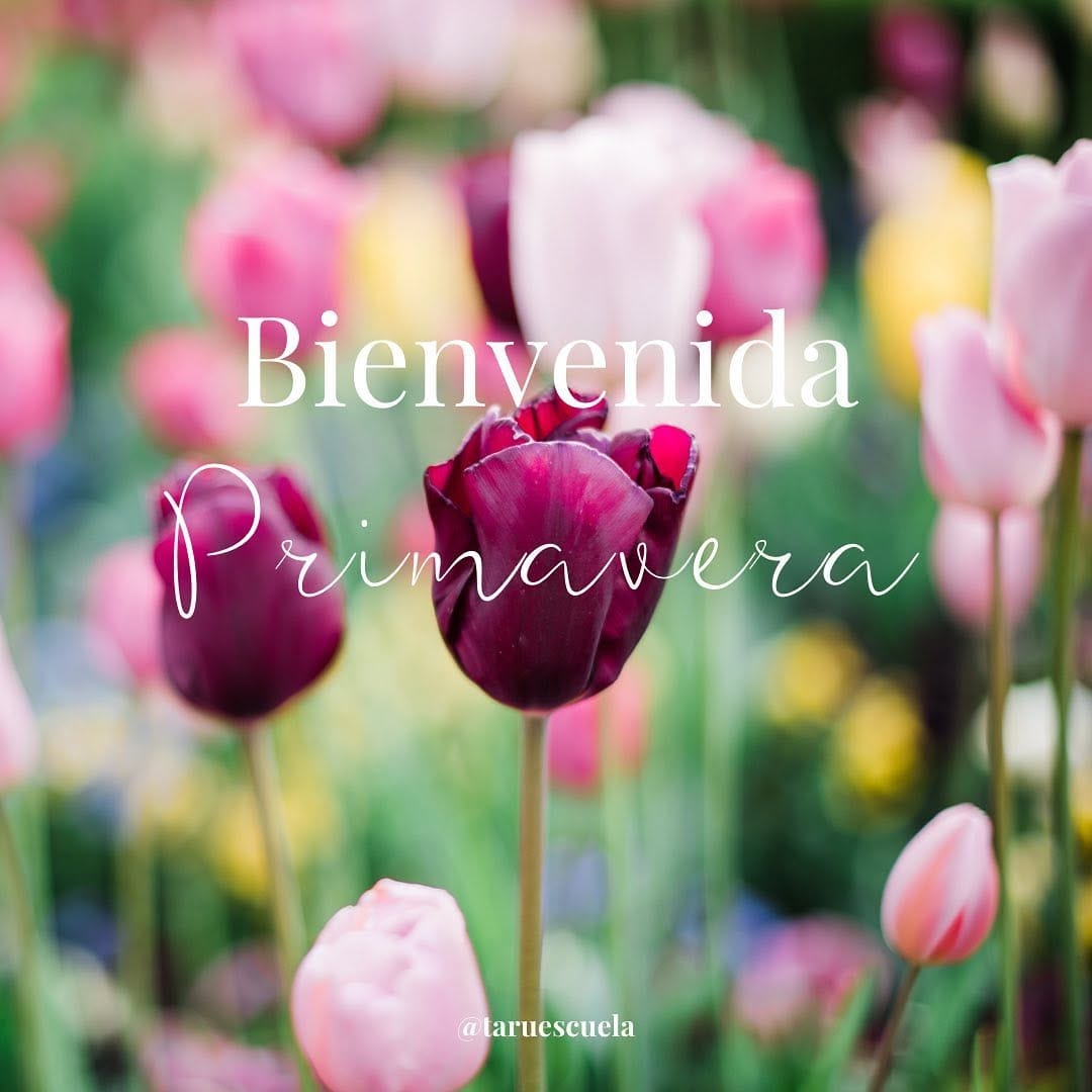 Post 1 by Escuela Online de Āyurveda on Instagram (carousel)