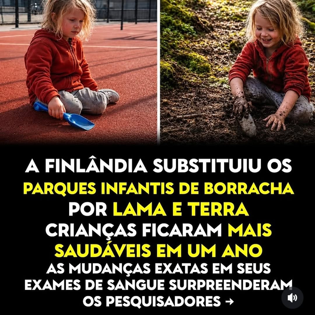 Post 2 by JOSÉ MARCELO TONELLA MANSO on Instagram (carousel)