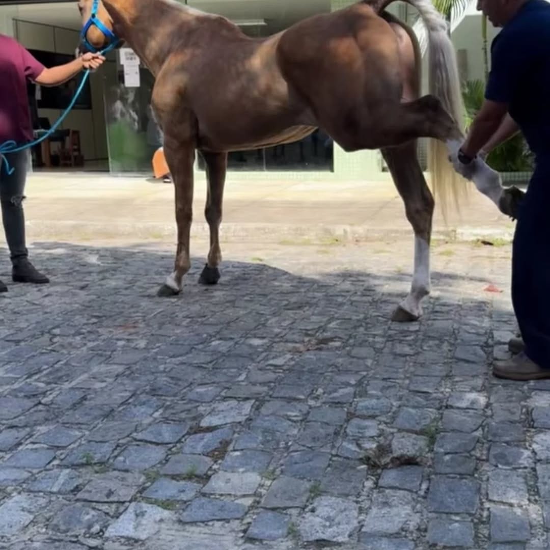 Post 6 by Cesar Andrey Galindo Orozco on Instagram (carousel)