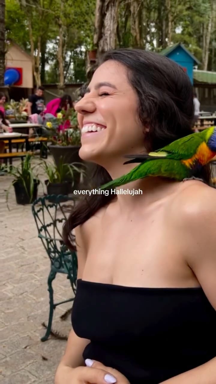 Post 4 by Thanyse Araujo on Instagram (video)