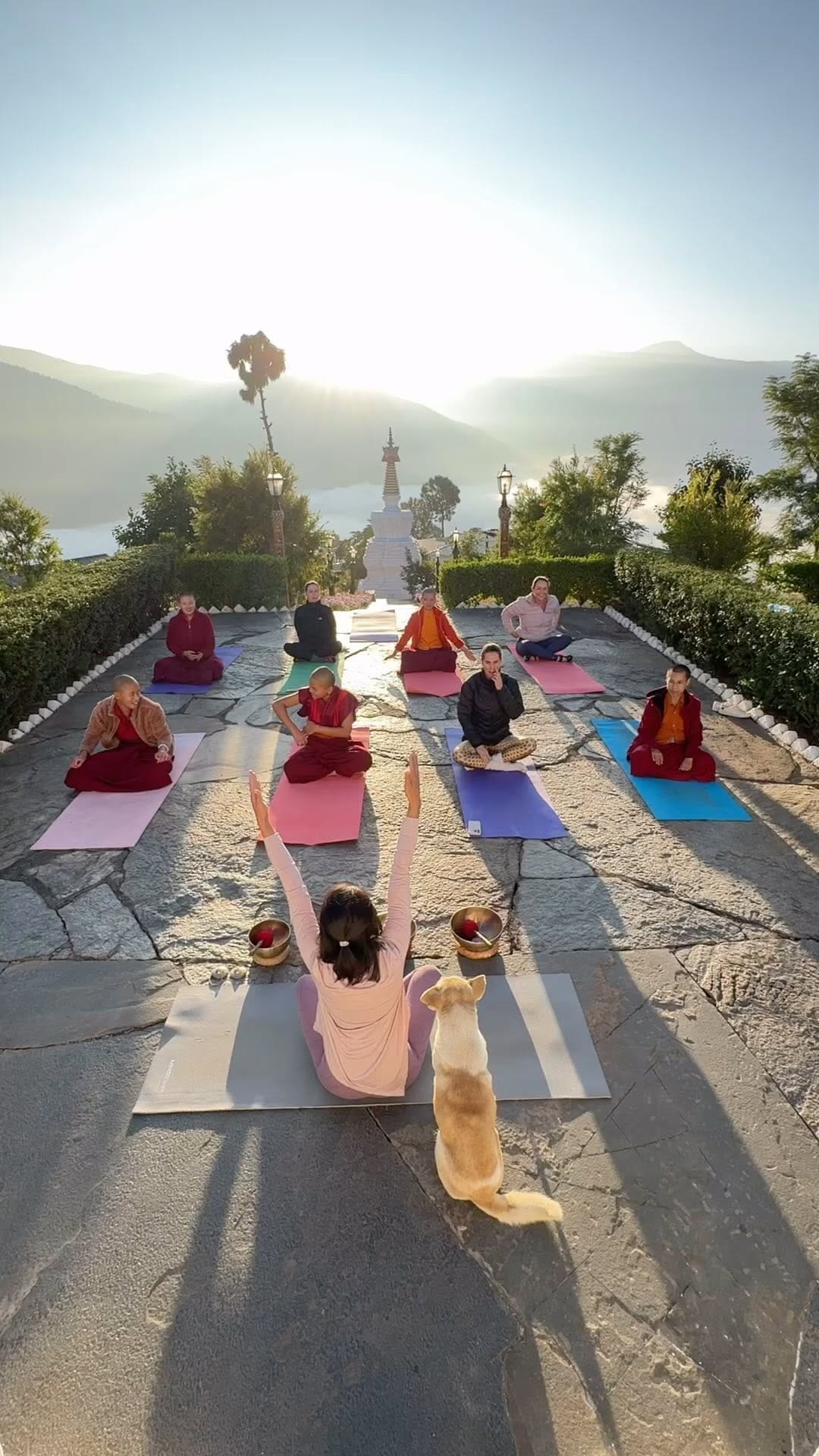 Post 10 by Yangchen Lhamo on Instagram (video)