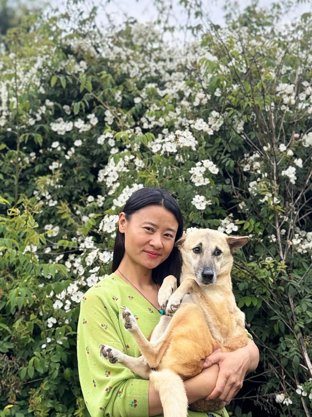 Post 2 by Yangchen Lhamo on Instagram (image)