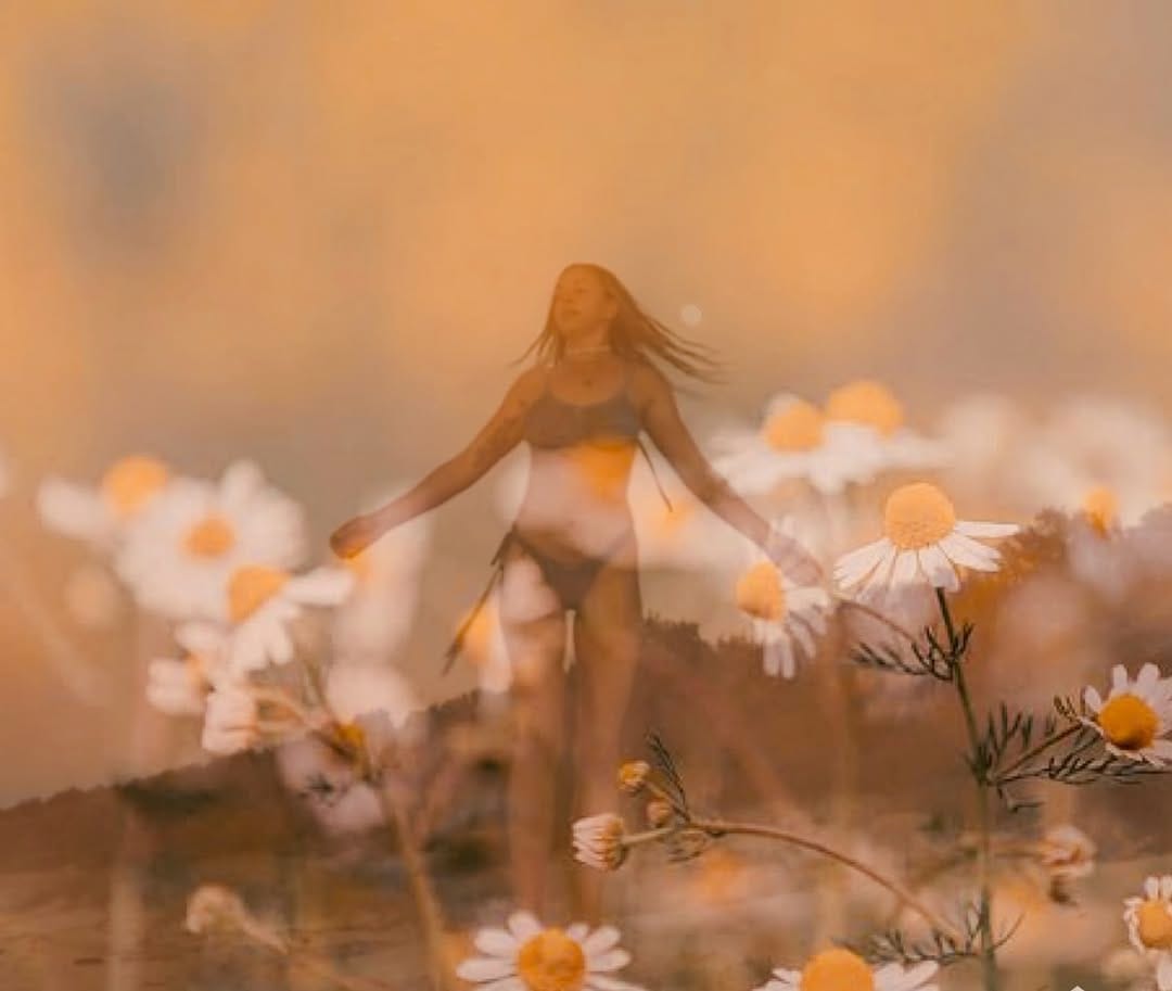 Post 5 by Joelle ~ Naturopath | Herbalist | Wild Craft on Instagram (image)