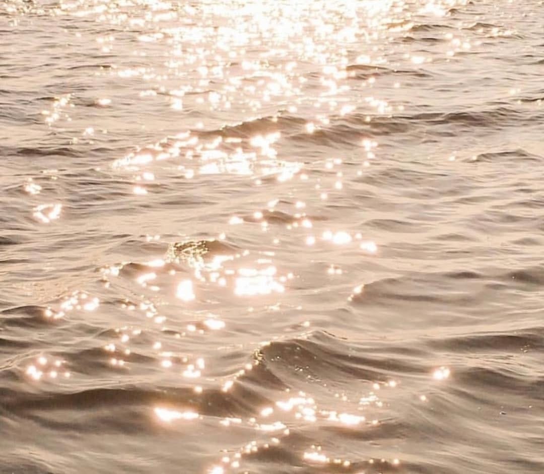 Post 10 by Joelle ~ Naturopath | Herbalist | Wild Craft on Instagram (image)