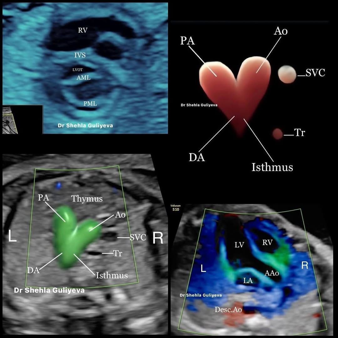 Post 8 by Dr. Şəhla Quliyeva on Instagram (image)