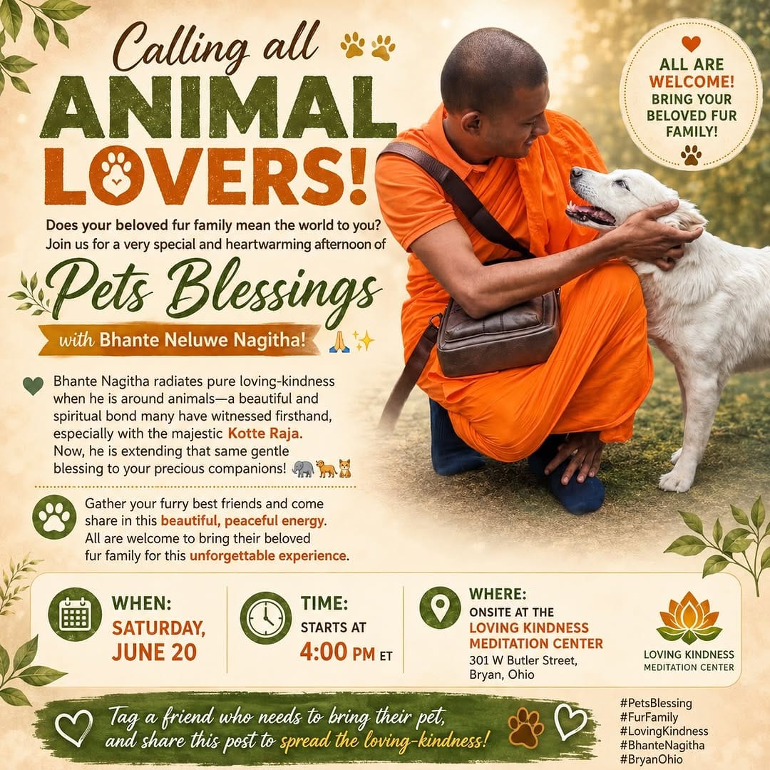 Post 5 by Bhante Devananda on Instagram (image)