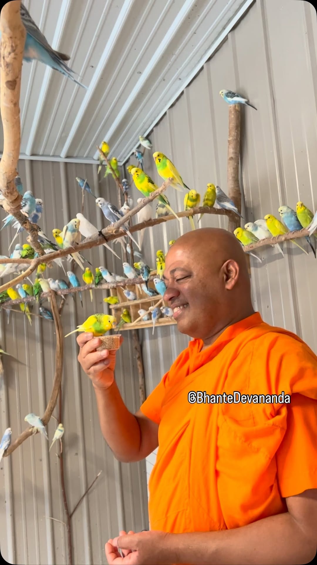 Post 2 by Bhante Devananda on Instagram (video)