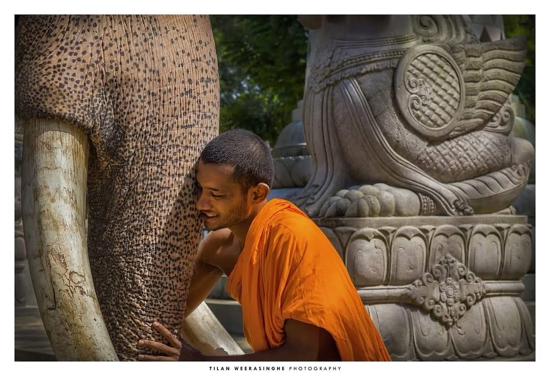 Post 9 by Bhante Devananda on Instagram (image)