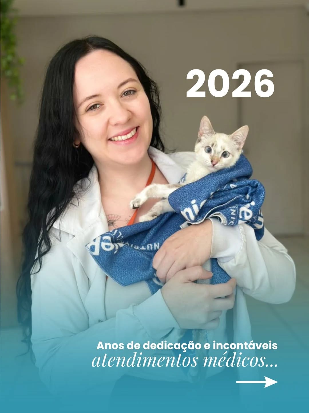 Post 1 by Vida Pets Hospital Veterinário on Instagram (carousel)
