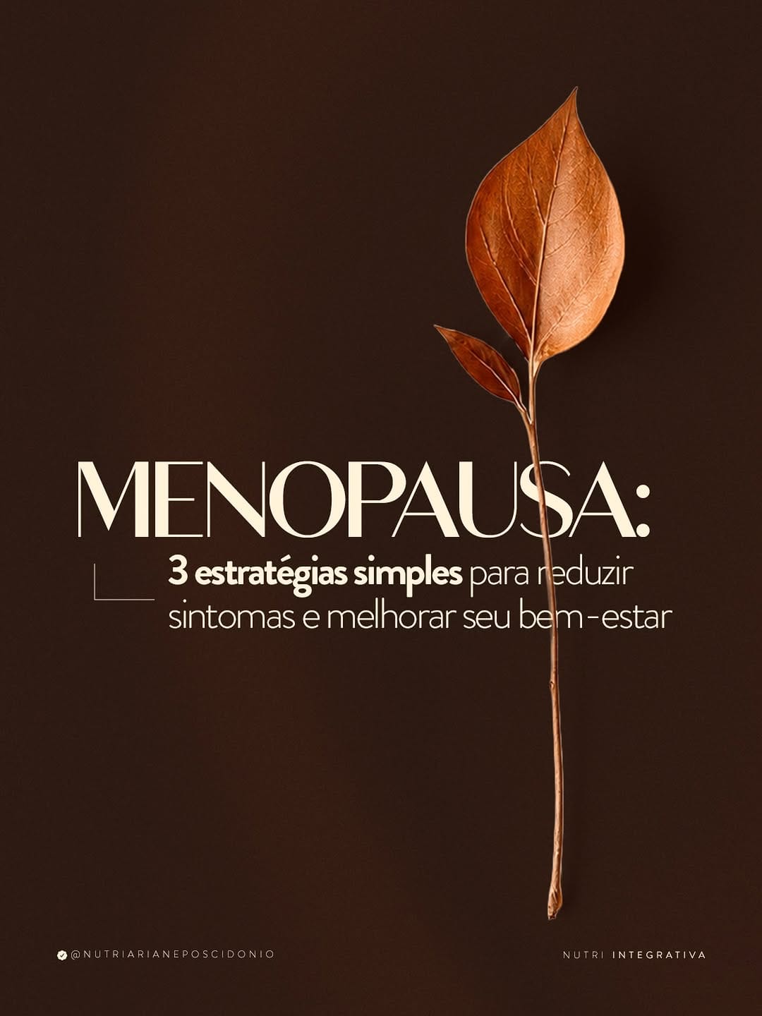 Post 10 by Emagrecimento estratégico e Saúde da mulher on Instagram (image)