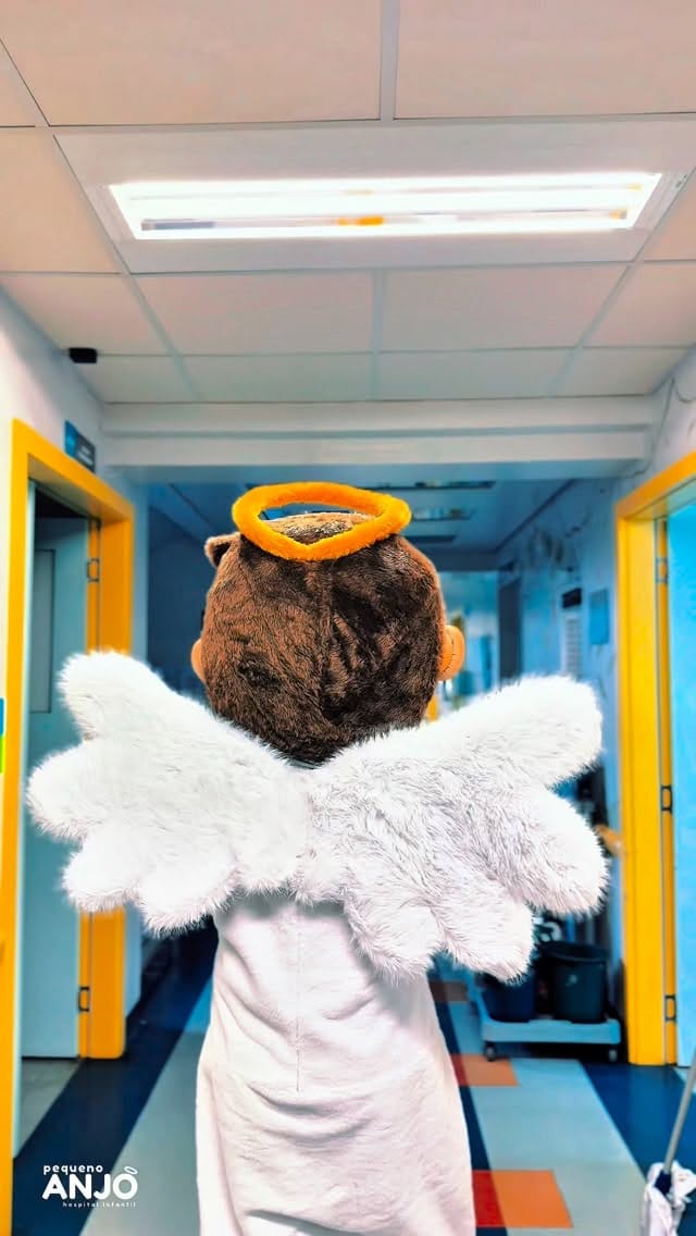 Post 5 by Hospital Infantil Pequeno Anjo on Instagram (video)