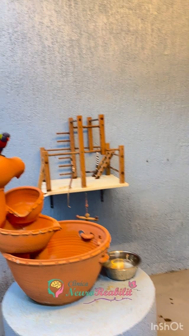 Post 7 by Clínica NeuroReabilit - Reabilitação Infantil on Instagram (video)