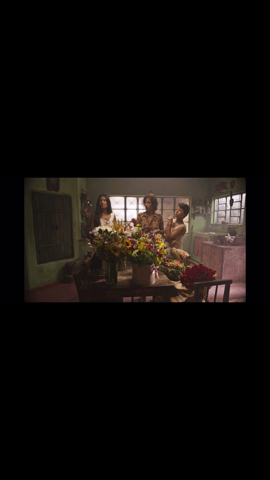 Post 5 by Leonardo Padovani 🎻 on Instagram (video)