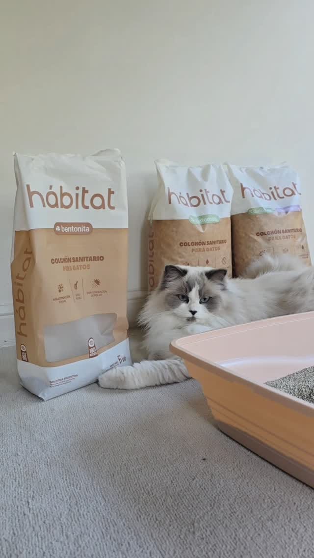 Post 5 by Victoria G / Mis gatos y Lifestyle/ Ugc on Instagram (video)