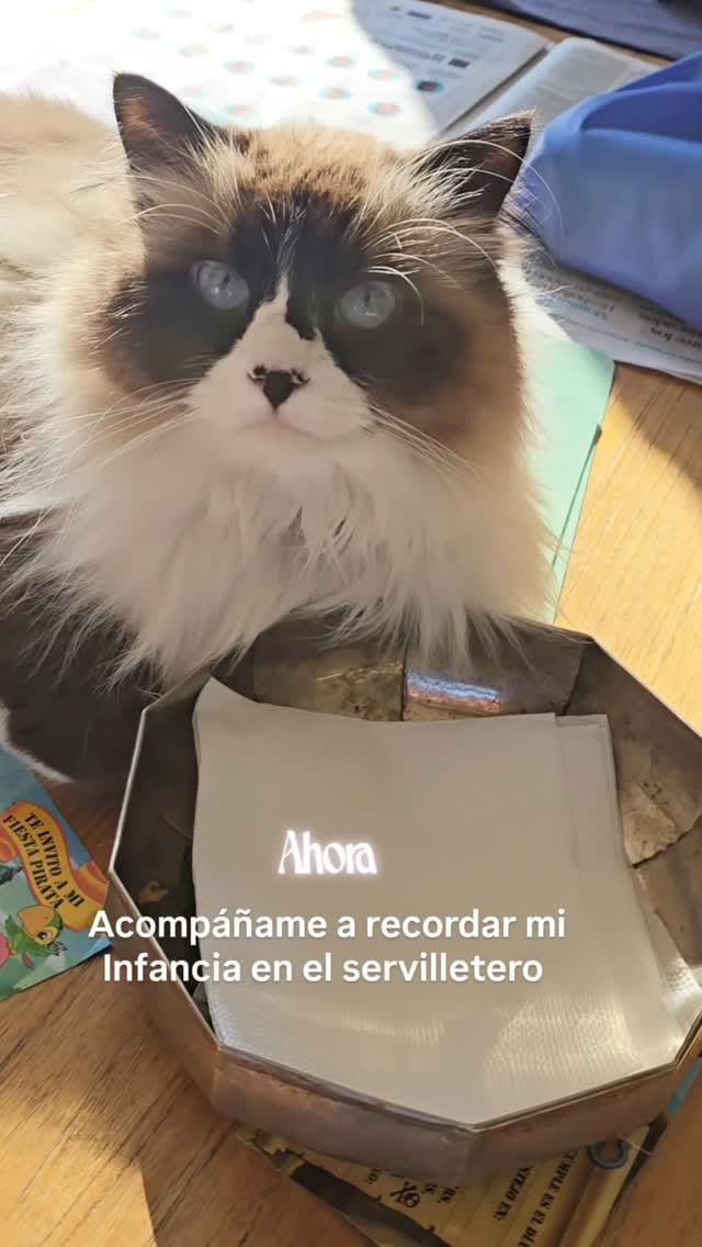 Post 2 by Victoria G / Mis gatos y Lifestyle/ Ugc on Instagram (video)