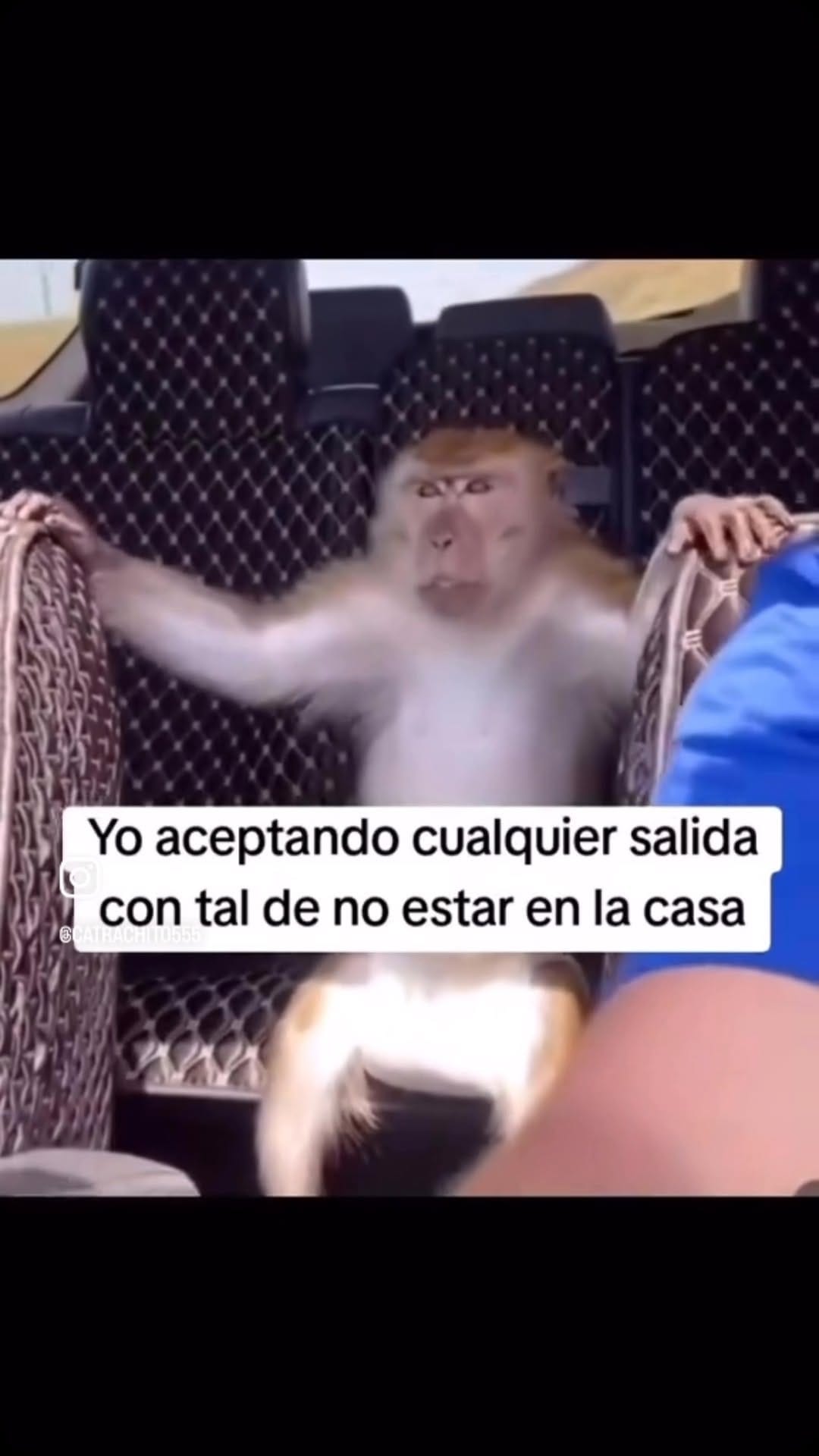 Post 8 by Liquid Guira | Bachata on Instagram (video)