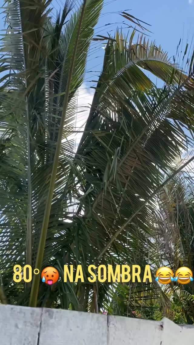 Post 5 by Luiz Carlos on Instagram (video)