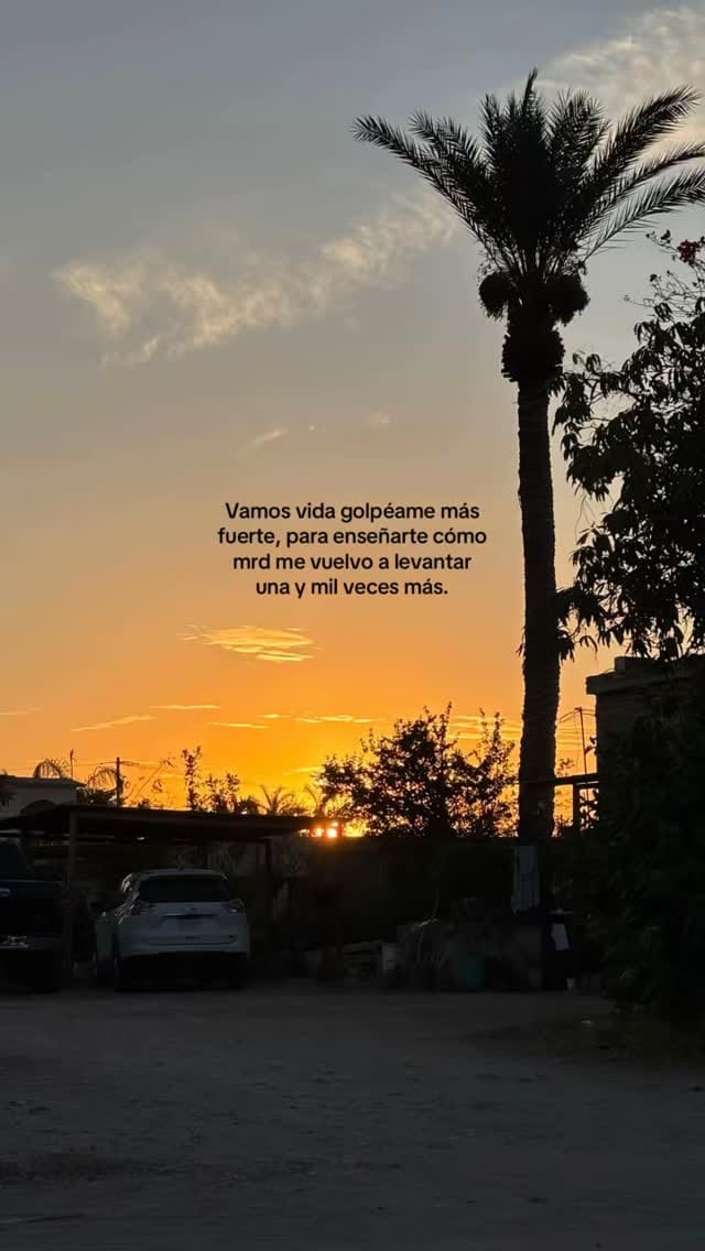 Post 10 by Los Mentados De Culiacán🤠 on Instagram (video)