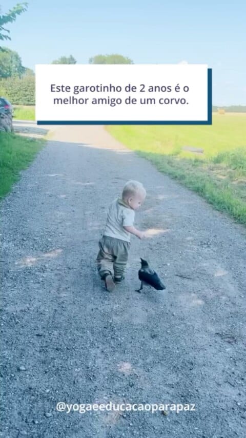 Post 1 by Othon  Oliveira on Instagram (video)