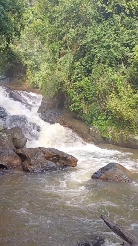 Post 5 by Othon  Oliveira on Instagram (video)