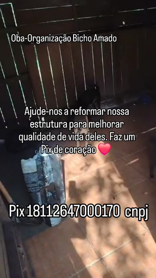 Post 8 by Organização Bicho Amado- OBA❤ on Instagram (video)