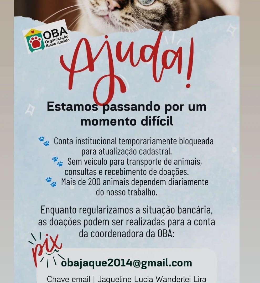 Post 5 by Organização Bicho Amado- OBA❤ on Instagram (image)