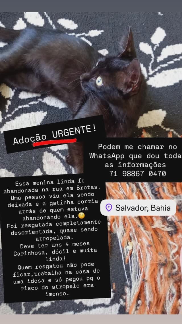 Post 8 by Nanda Tavares on Instagram (video)