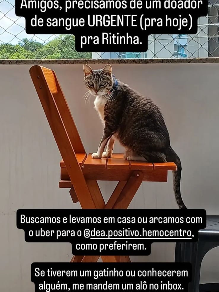 Post 4 by Nanda Tavares on Instagram (carousel)