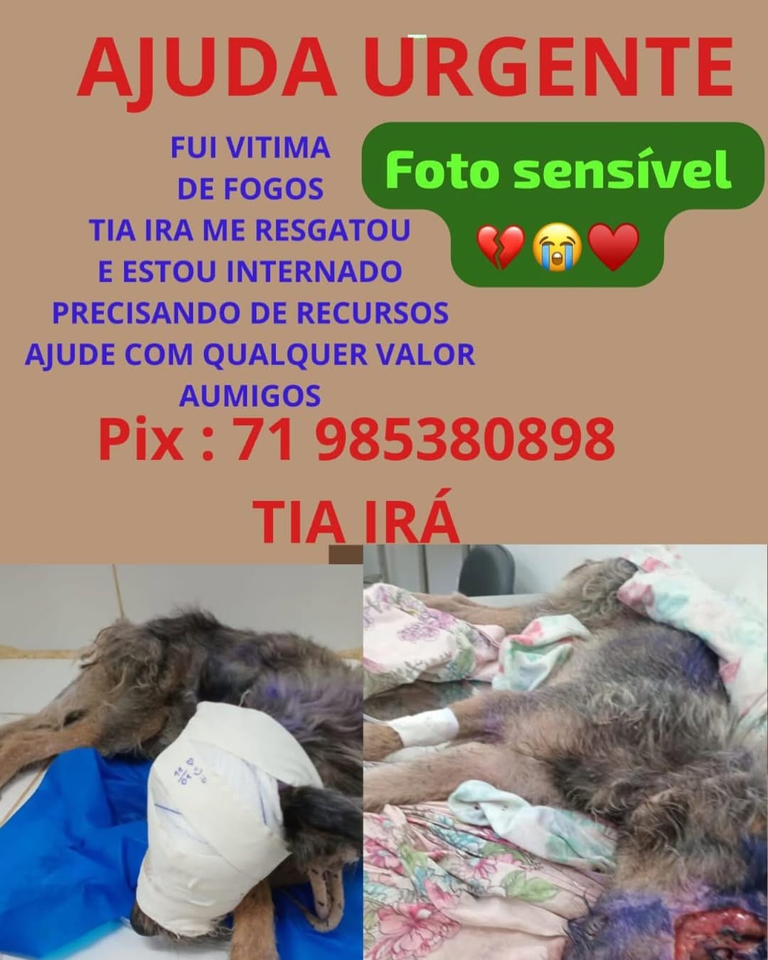 Post 9 by Nanda Tavares on Instagram (image)