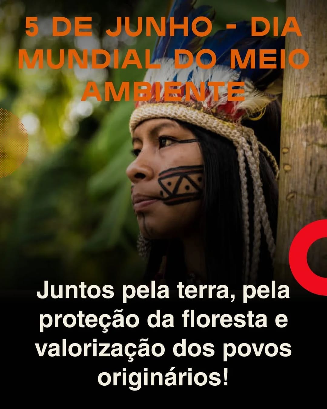 Post 5 by Greenpeace - Manaus (AM) on Instagram (image)