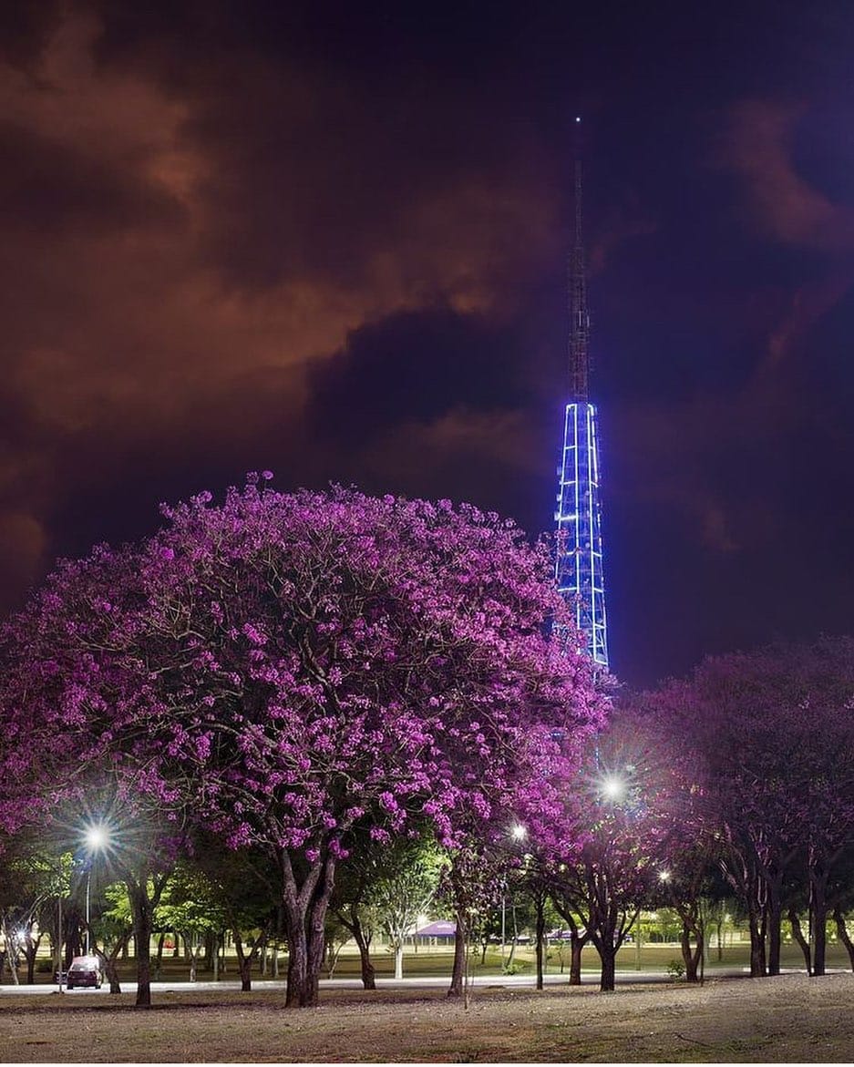 Post 10 by Brasília in Foco on Instagram (image)
