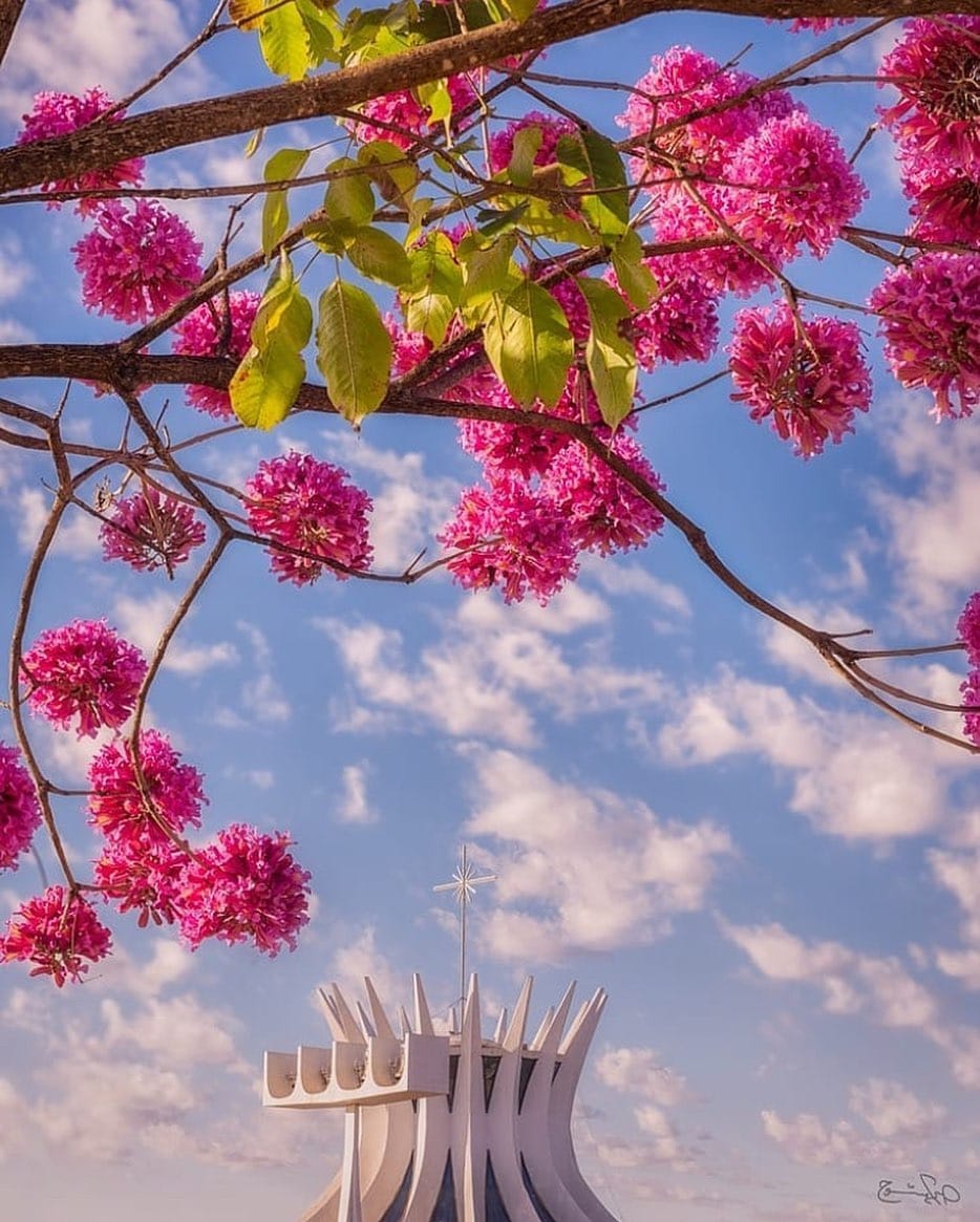 Post 9 by Brasília in Foco on Instagram (image)