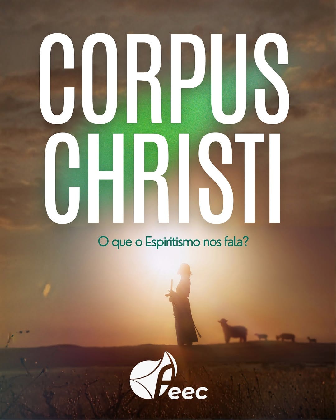 Post 6 by Federação Espírita do Estado do Ceará on Instagram (image)