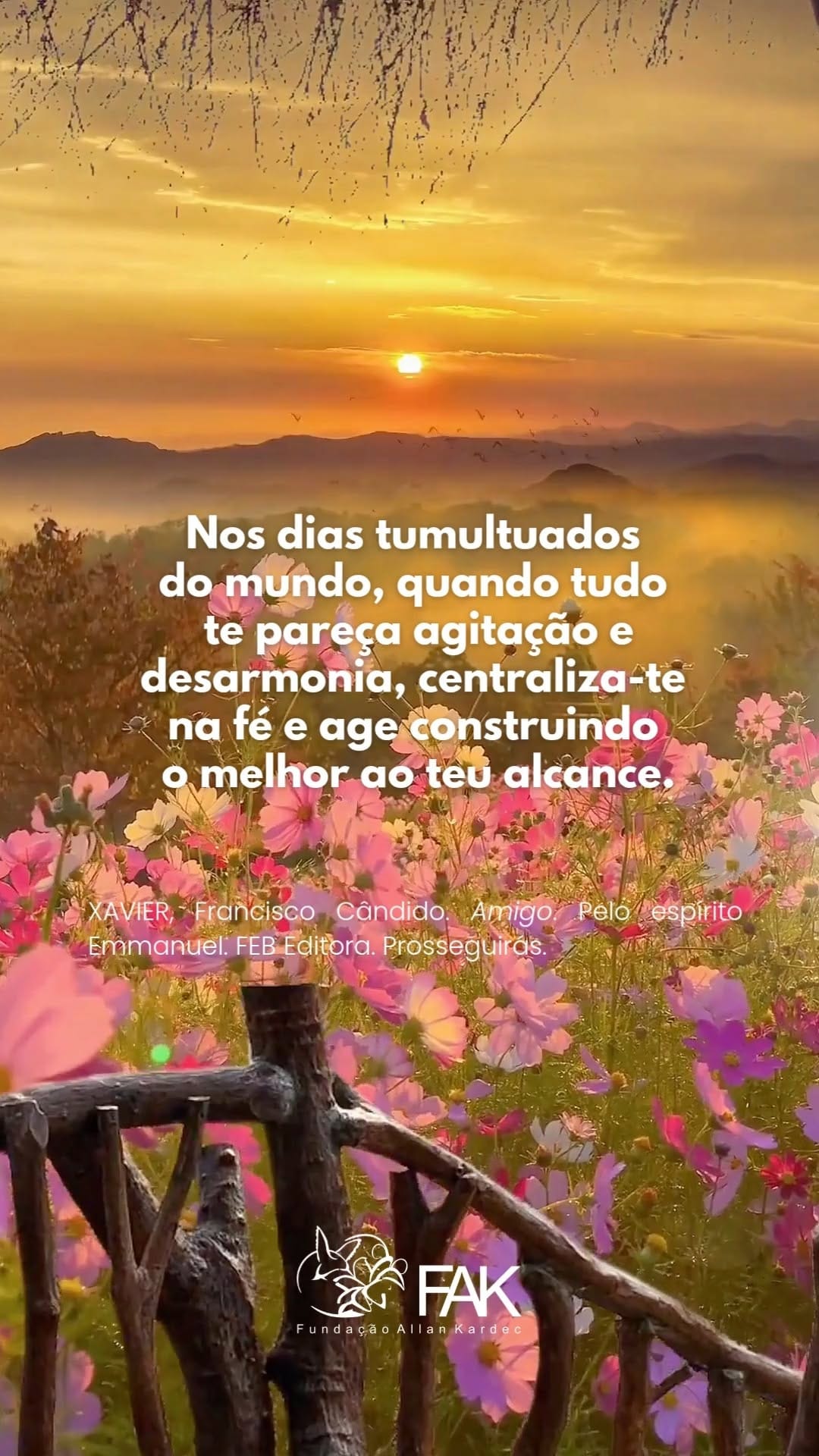Post 5 by Fundação Allan Kardec on Instagram (video)