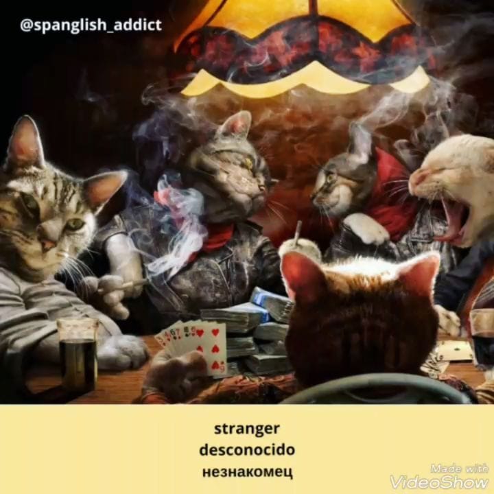 Post 6 by English🇬🇧 Spanish🇪🇸 Russian 🇷🇺 on Instagram (video)