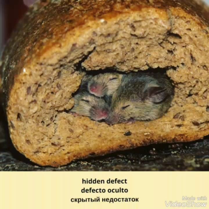 Post 9 by English🇬🇧 Spanish🇪🇸 Russian 🇷🇺 on Instagram (video)