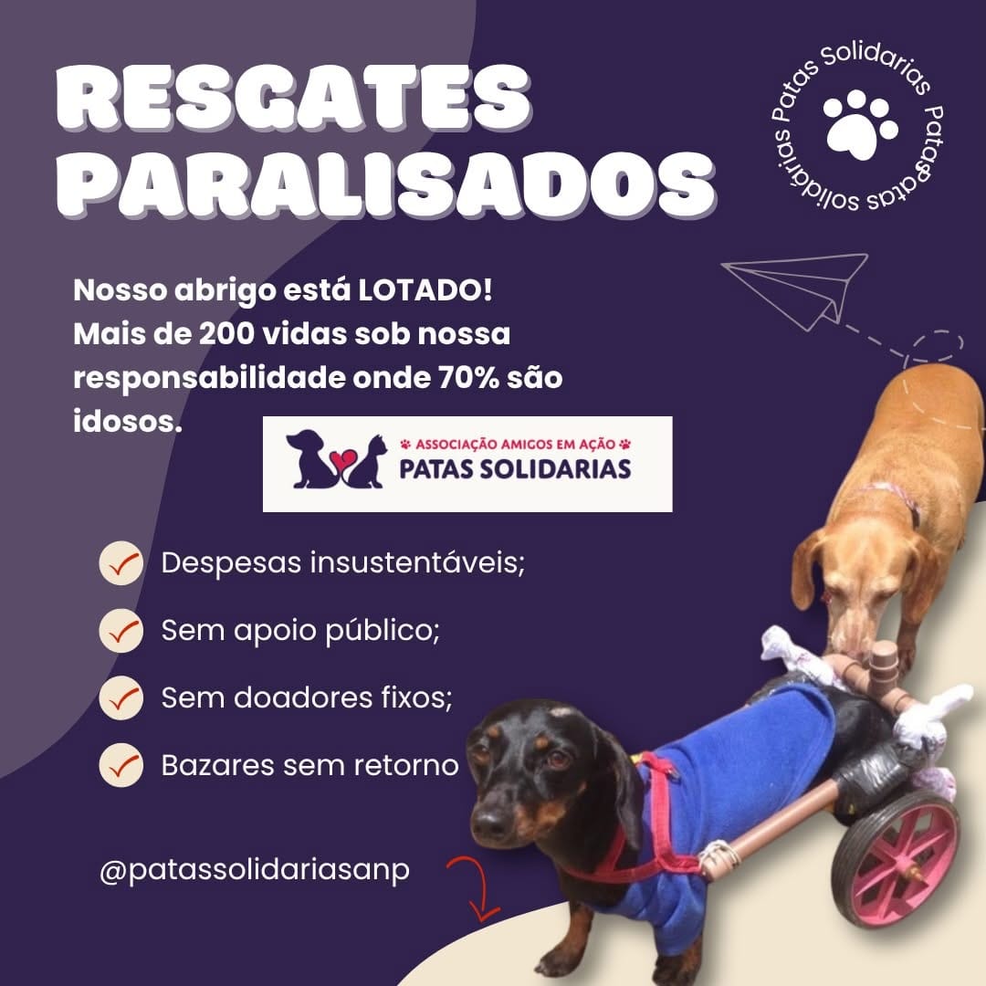 Post 9 by Patas Solidarias on Instagram (image)