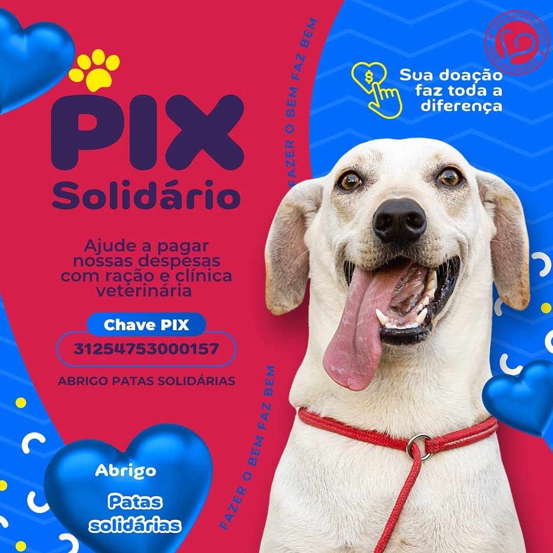 Post 10 by Patas Solidarias on Instagram (image)