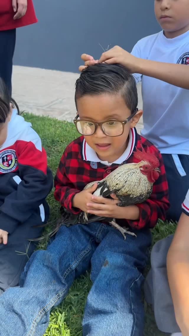 Post 5 by Mamamaestramx on Instagram (video)